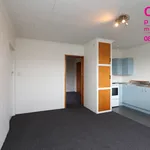 Rent 1 bedroom house in Dunedin