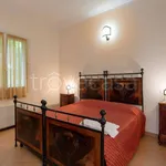 Rent 1 bedroom apartment of 55 m² in Ferrara