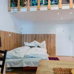 Rent 1 bedroom apartment of 25 m² in Berlin