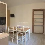 Rent 2 bedroom apartment of 100 m² in Turin