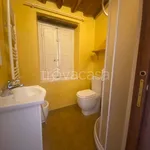 Rent 3 bedroom apartment of 70 m² in Lucca