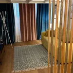 Rent 1 bedroom apartment in milan