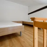 Rent 1 bedroom apartment in Brno