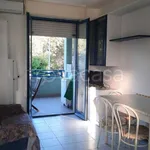 Rent 2 bedroom apartment of 45 m² in Senigallia