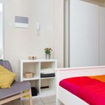 Rent a room in Torino