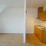 Rent 1 bedroom apartment in Nový Jičín