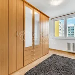 Rent 4 bedroom apartment of 95 m² in Capital City of Prague