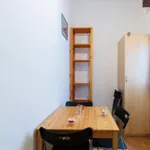 Rent 1 bedroom apartment in Bologna