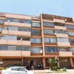 Rent 1 bedroom apartment in Johannesburg