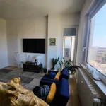 Rent 3 bedroom apartment of 120 m² in Pesaro