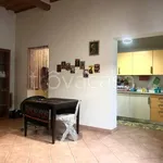 Rent 2 bedroom apartment of 50 m² in Empoli