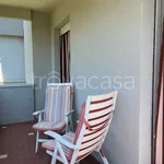 Rent 5 bedroom apartment of 80 m² in Riccione