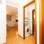 Rent 2 bedroom apartment of 40 m² in Torino