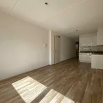 Huur 2 slaapkamer appartement van 40 m² in Groningen