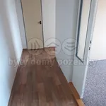 Pronájem bytu 1+1 36m²