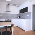 Pronajměte si 1 ložnic/e byt o rozloze 39 m² v Prague