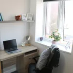 Rent 1 bedroom flat in Leicester