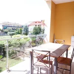 Rent 4 bedroom apartment of 170 m² in Caserta