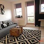 Rent 1 bedroom apartment of 31 m² in Poznań