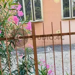 Rent 5 bedroom apartment of 80 m² in Padova