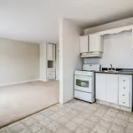  appartement avec 1 chambre(s) en location à Windsor, ON