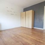 Rent 1 bedroom flat in London