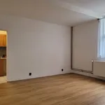 Rent 1 bedroom apartment in Teplice