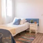 Rent 4 bedroom apartment in Madrid