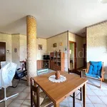 Rent 3 bedroom apartment of 76 m² in Roma