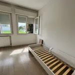 Rent 3 bedroom apartment of 100 m² in Padova