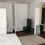 Rent 2 bedroom apartment of 25 m² in Dessau-Roßlau