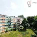 Rent 1 bedroom apartment of 26 m² in Łódź