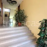 Rent 3 bedroom apartment of 157 m² in Busto Arsizio