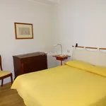 Rent 4 bedroom apartment of 75 m² in Siena