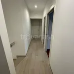 Rent 4 bedroom apartment of 98 m² in Bologna