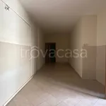 Appartamento in affitto a Ottaviano viale Elena, balcone, cucina abitabile, ripostiglio - TrovaCasa