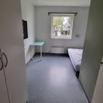 Rent 1 bedroom apartment of 10 m² in Trondheim