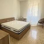 Rent 2 bedroom apartment of 60 m² in Piacenza