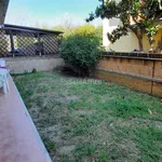 Rent 2 bedroom apartment of 50 m² in Spoltore