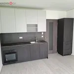 Rent 1 bedroom apartment in Brno