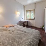 Rent a room in lisbon