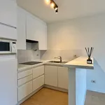 Huur 1 slaapkamer appartement in Kortrijk