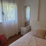 Alquilar 4 dormitorio apartamento en Valencia