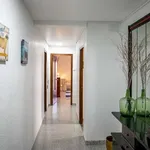 Rent a room in valencia