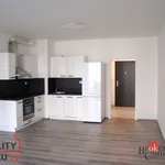 Rent 1 bedroom apartment of 39 m² in Pilsen