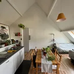 Rent 1 bedroom house in Ghent