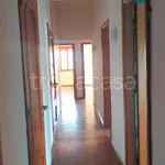 Rent 7 bedroom apartment of 200 m² in Catania