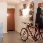 Rent a room in madrid