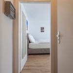 Rent 1 bedroom apartment of 25 m² in Hildesheim