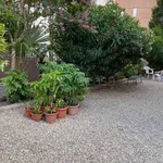 Rent 3 bedroom apartment of 77 m² in Bologna